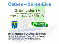 Handball Grünheide_Auswärts gegen TSG Lübbenau 02.04.2016_18.00