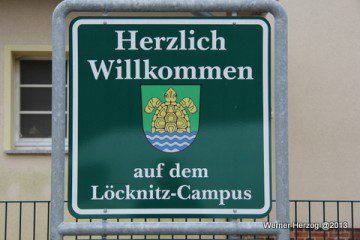 Die 3. Männer gegen Lychen